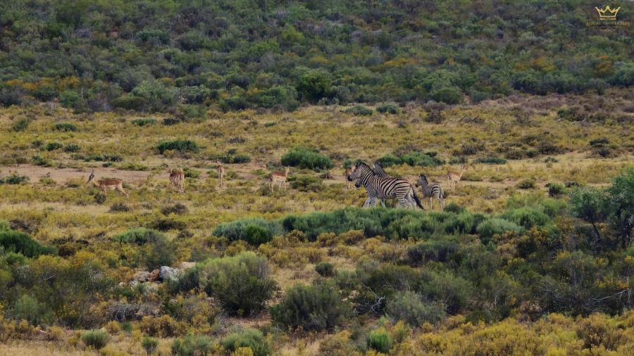 Commercial Property for Sale in Robertson Rural Western Cape